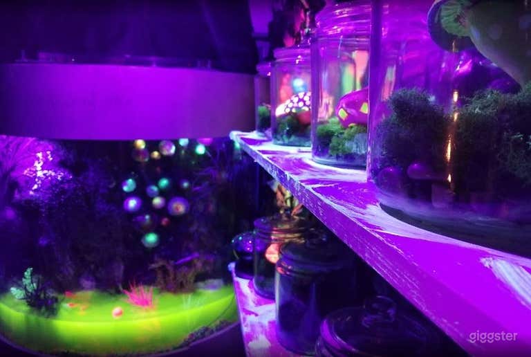  The Overgrown Escape Room 