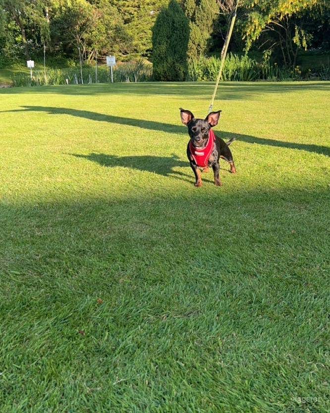 Spacious and Relaxing Tennis Court Photo 3