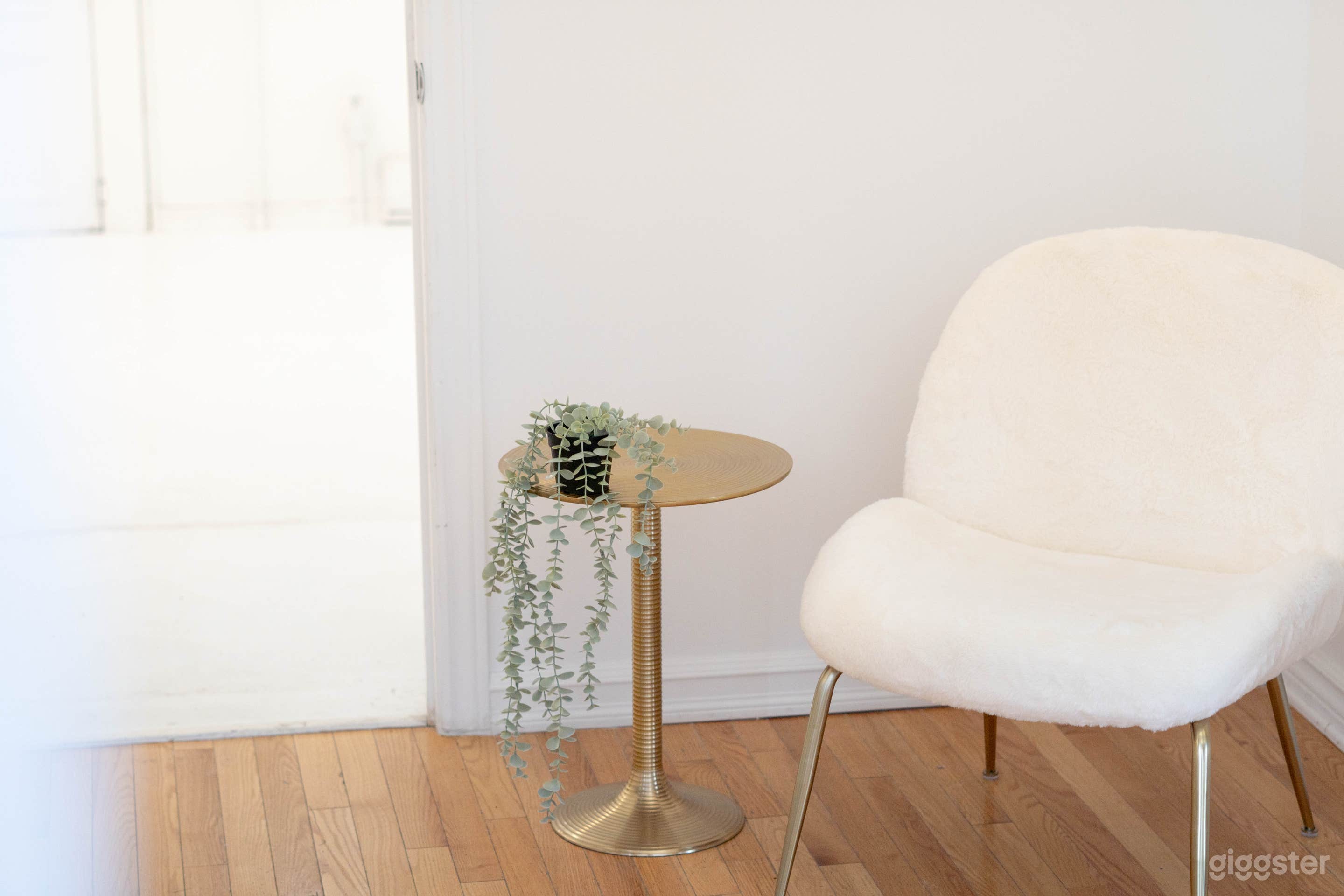 Bright Elegant Studio with Cyclo Wall Photo 4