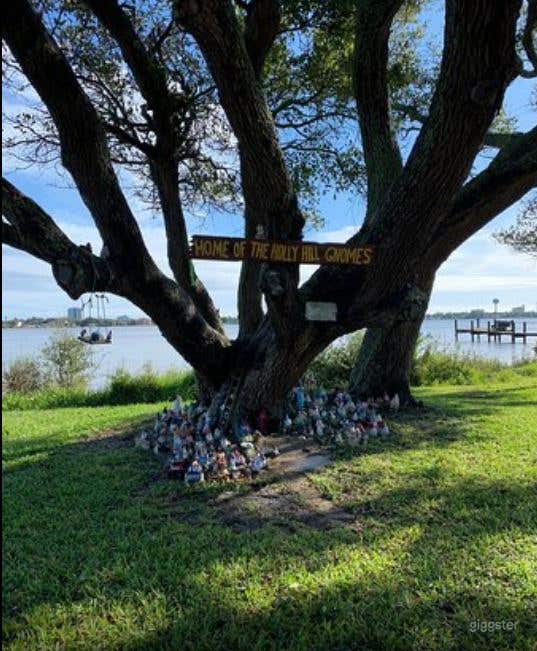  Outdoor Riverfront Lawn Venue 