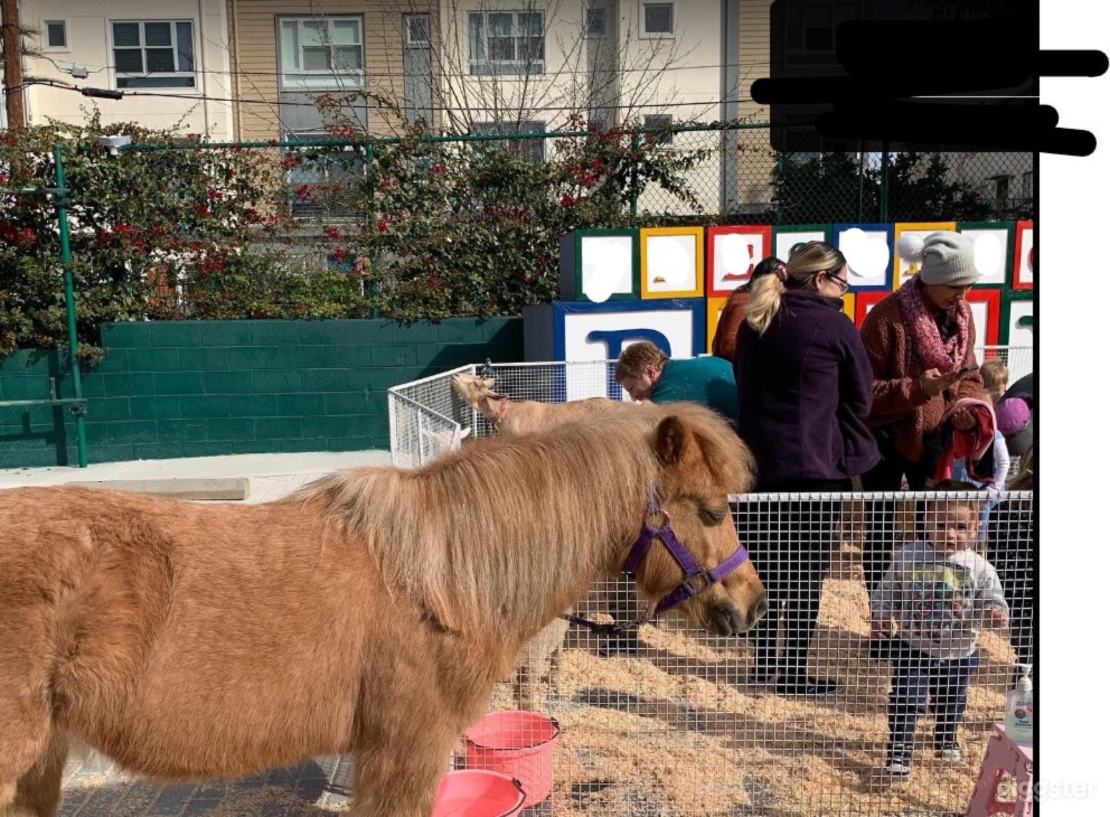 Unique Playground For Events Photo 3