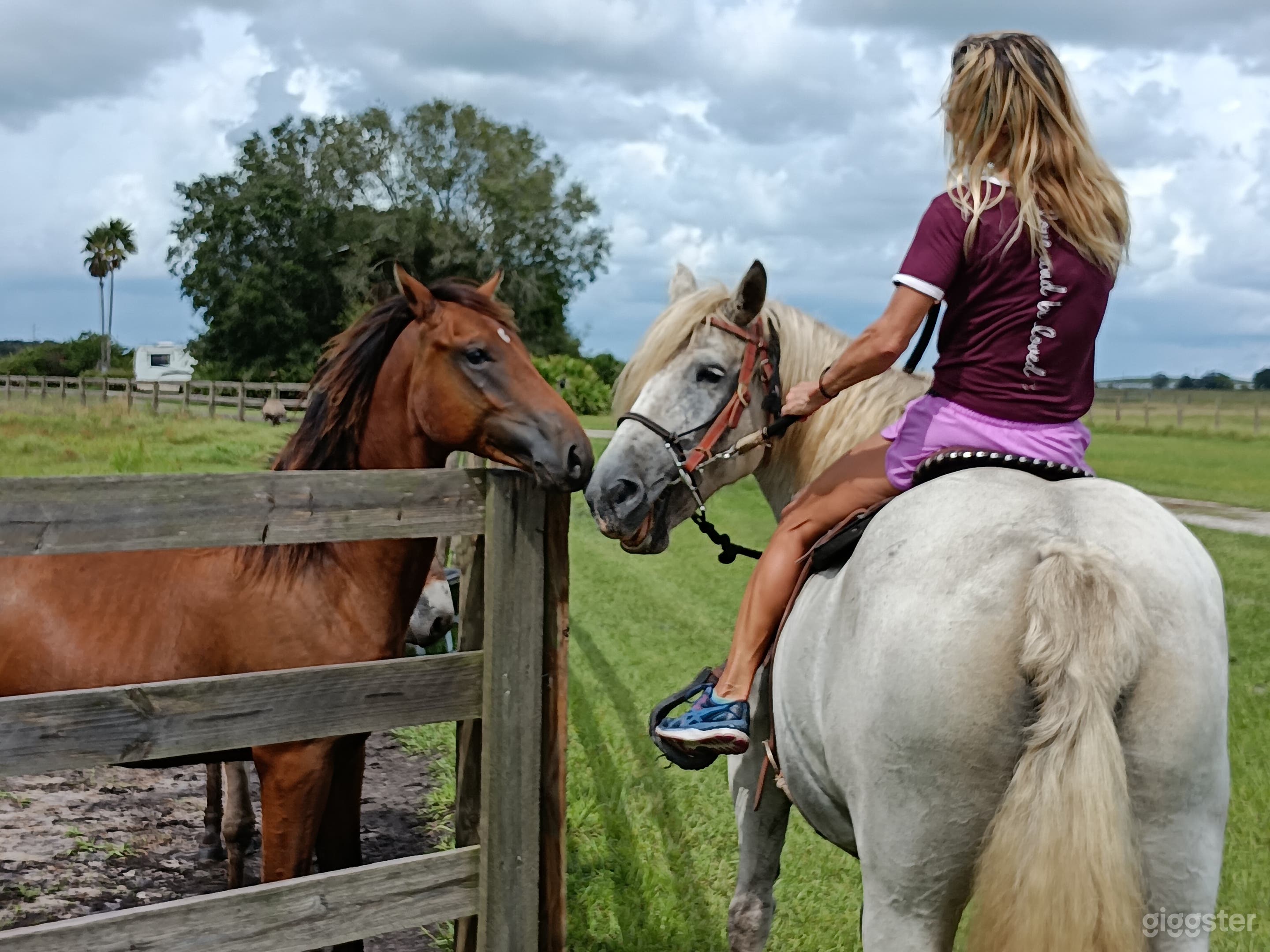 Sunniland Ranch Airport  Photo 3