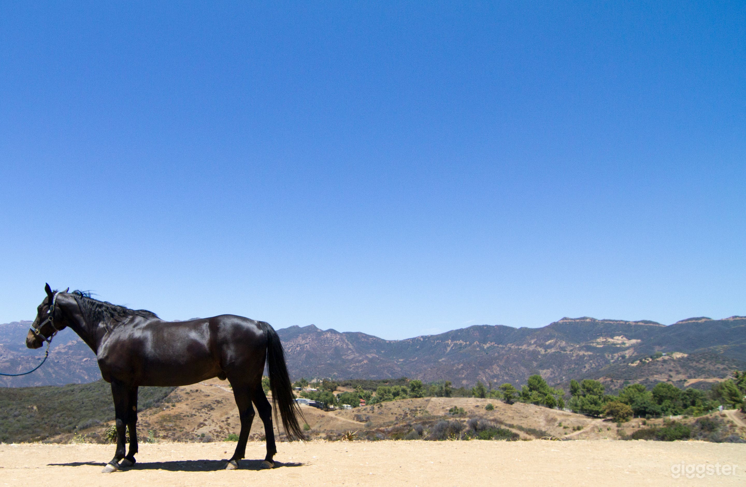 Malibu Horse Ranch Photo 1
