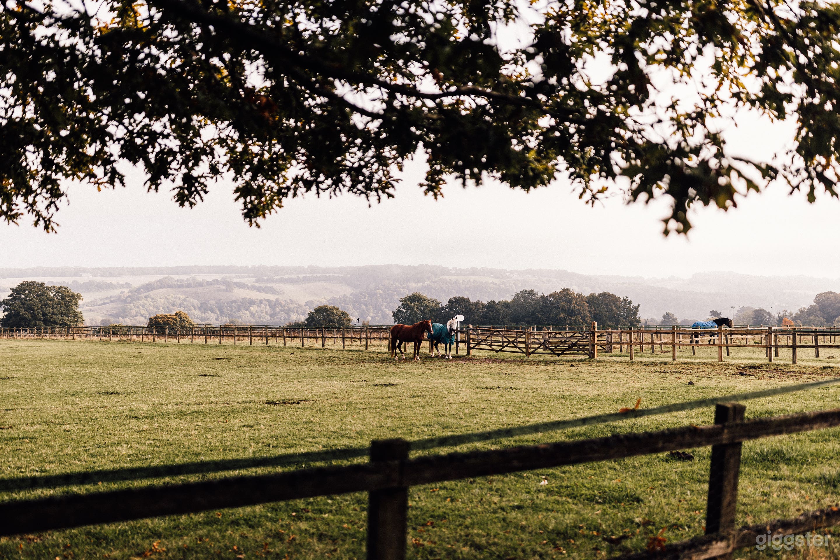 Country estate with many beautiful locations Photo 3