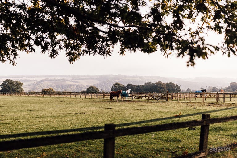  Country estate with many beautiful locations 