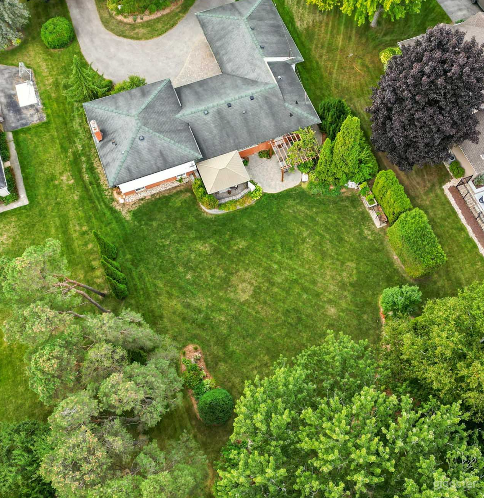 1960s Home, Acre Lot + Wooded Backdrop Photo 4