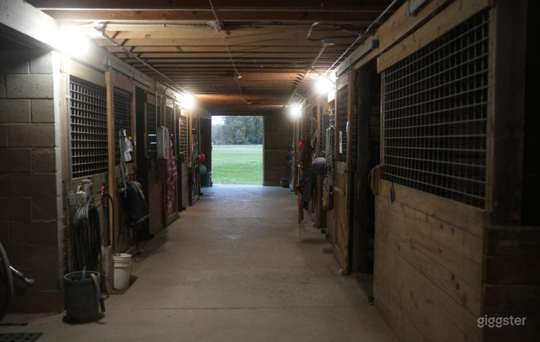  Unique Horse Farm w Barn and indoor Arena  
