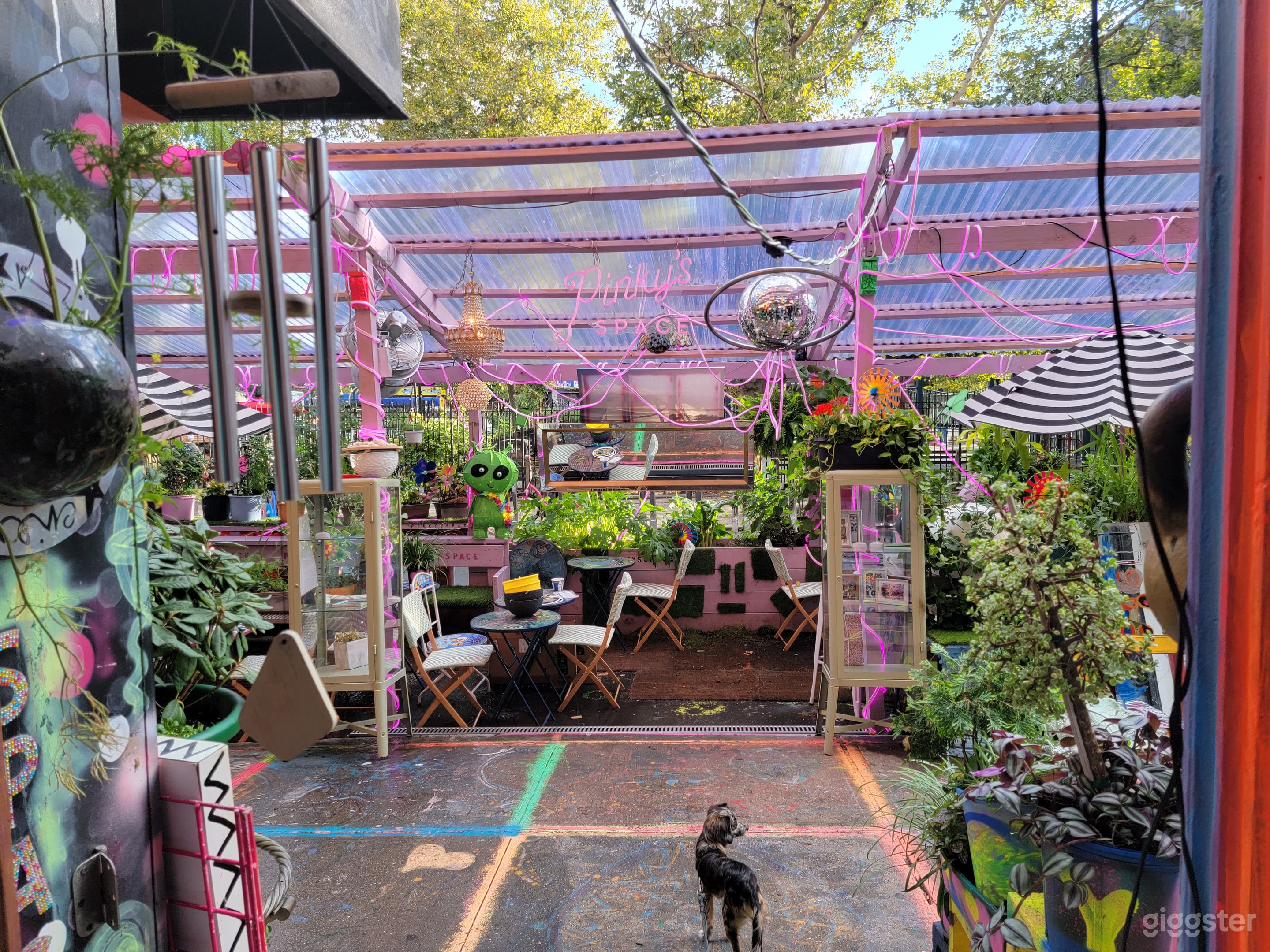 Enticing Food and Art Space in NYC Photo 1