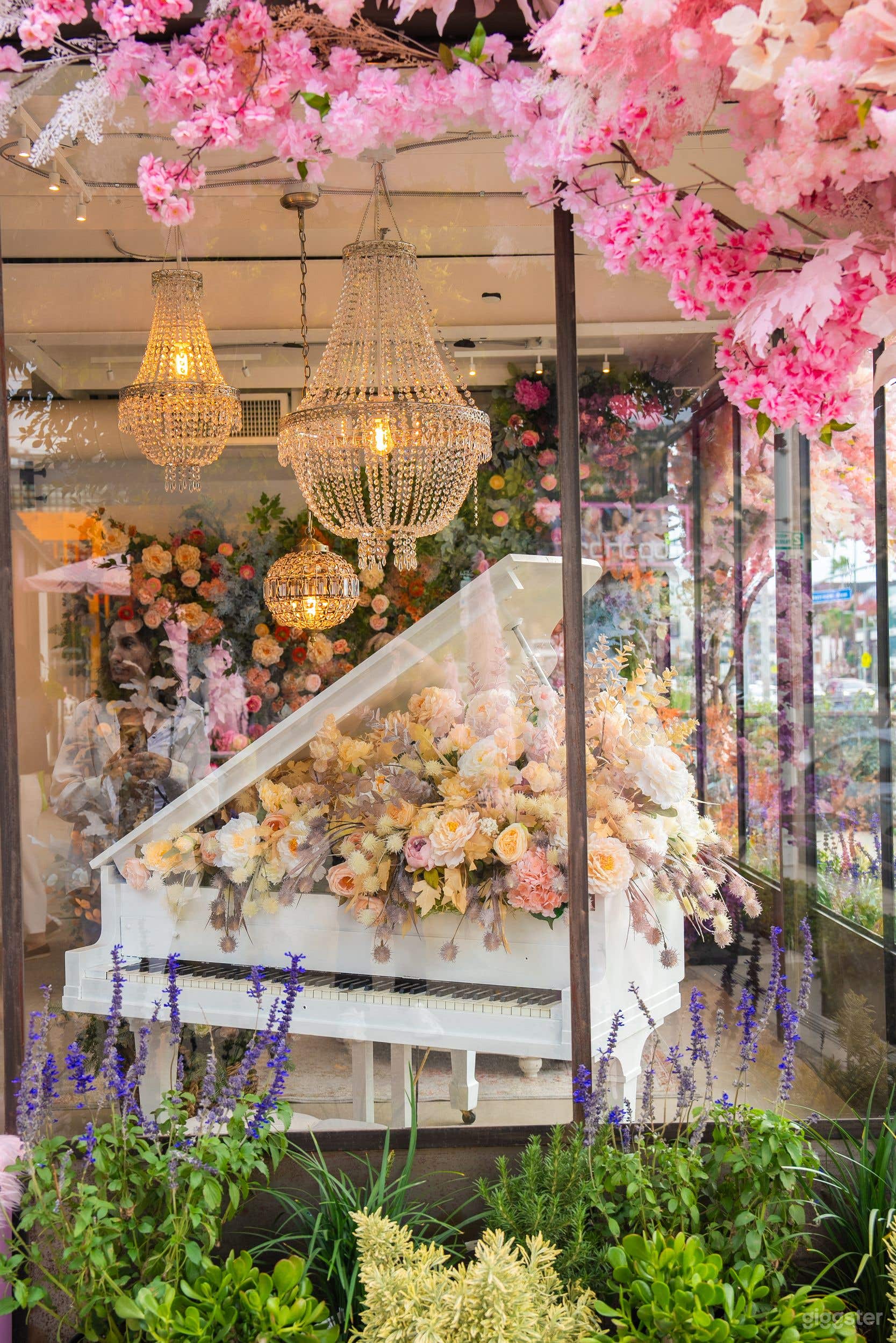 Flower fairytaile studio in Hollywood Photo 3