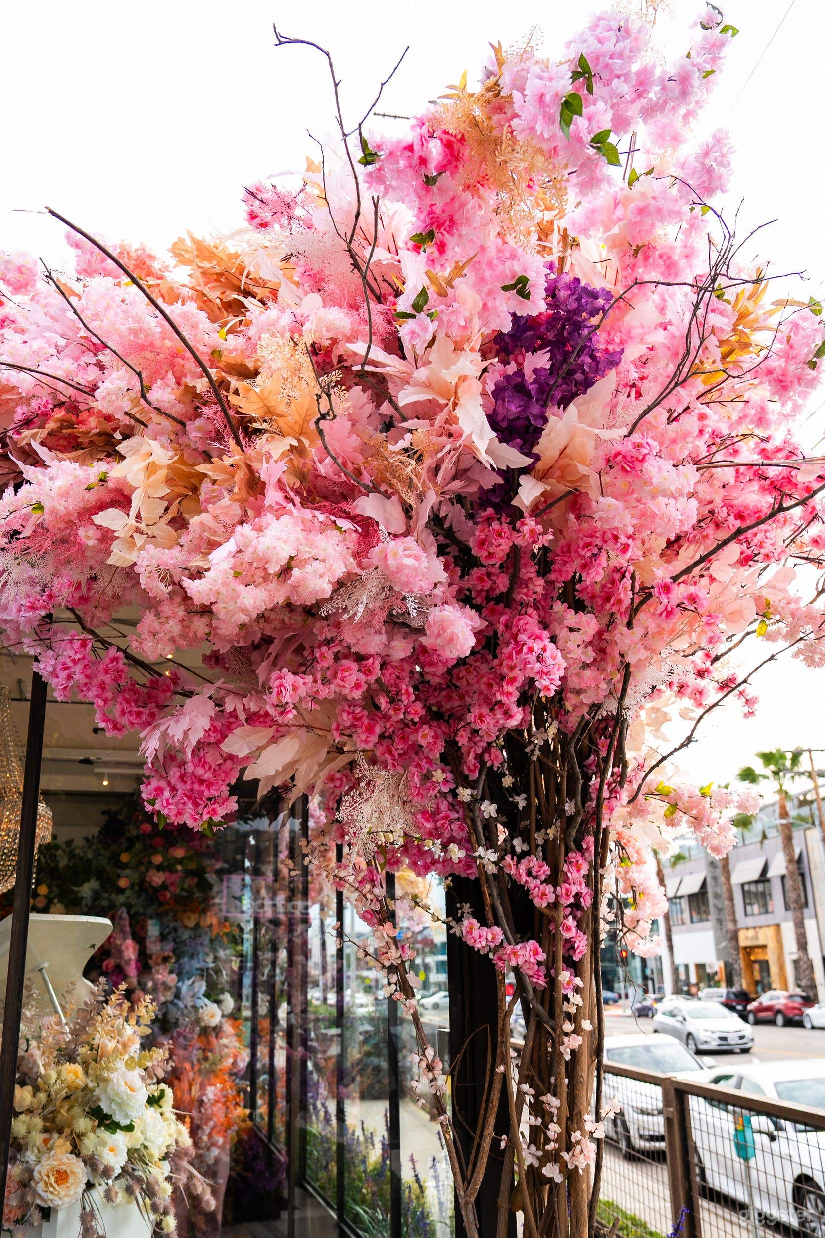 Flower fairytaile studio in Hollywood Photo 2