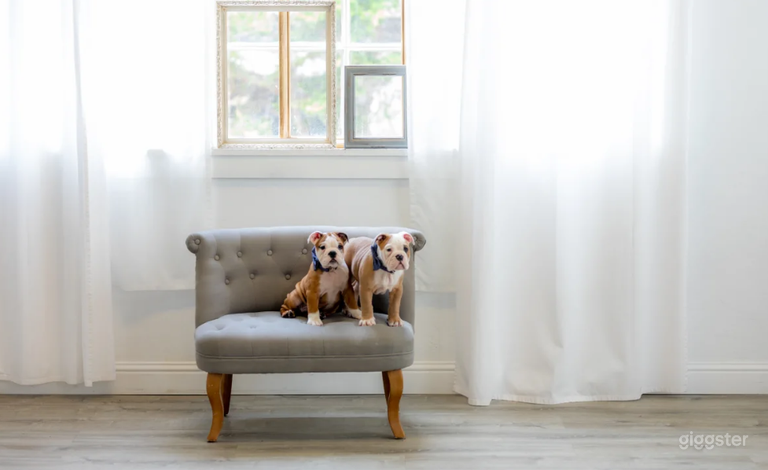  Unique Photo Studio in a Rustic Cannery Building in Monterey 