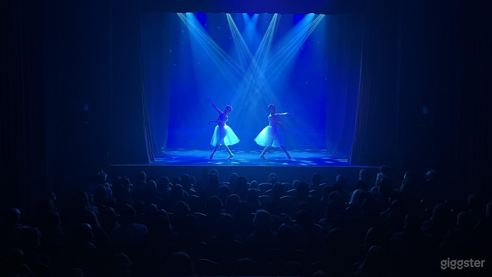 Esher Theatre Venue Hire Photo 1