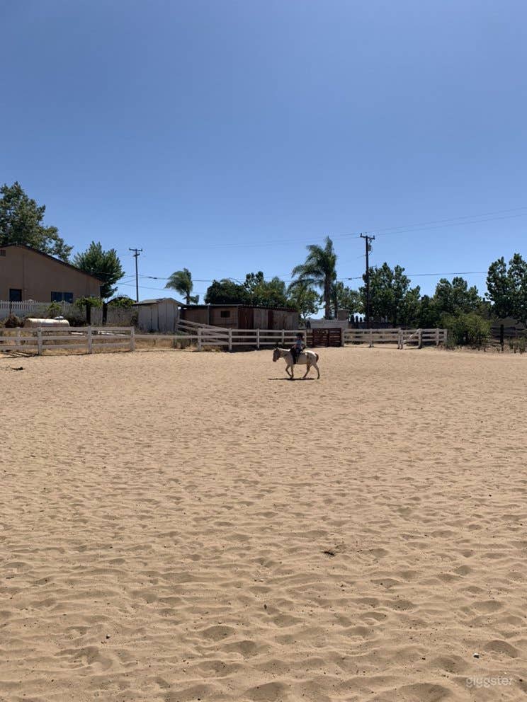 Large Horse Arena Photo 1