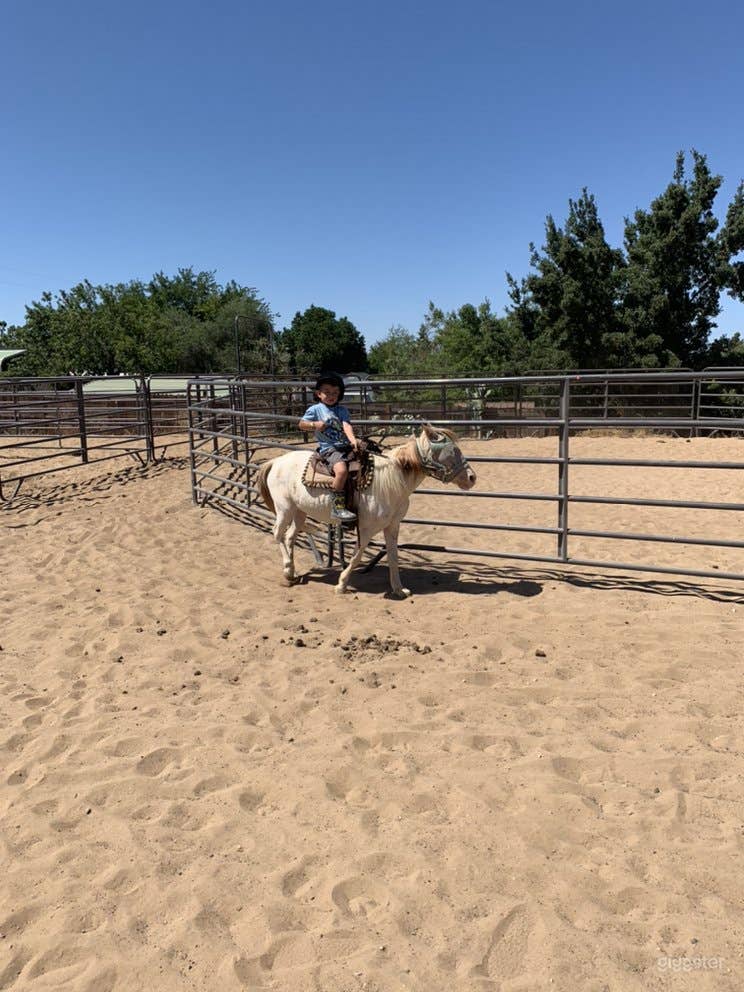 Large Horse Arena Photo 3