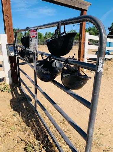 Large Horse Arena Photo 4