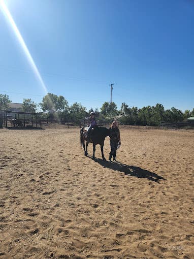 Large Horse Arena Photo 2