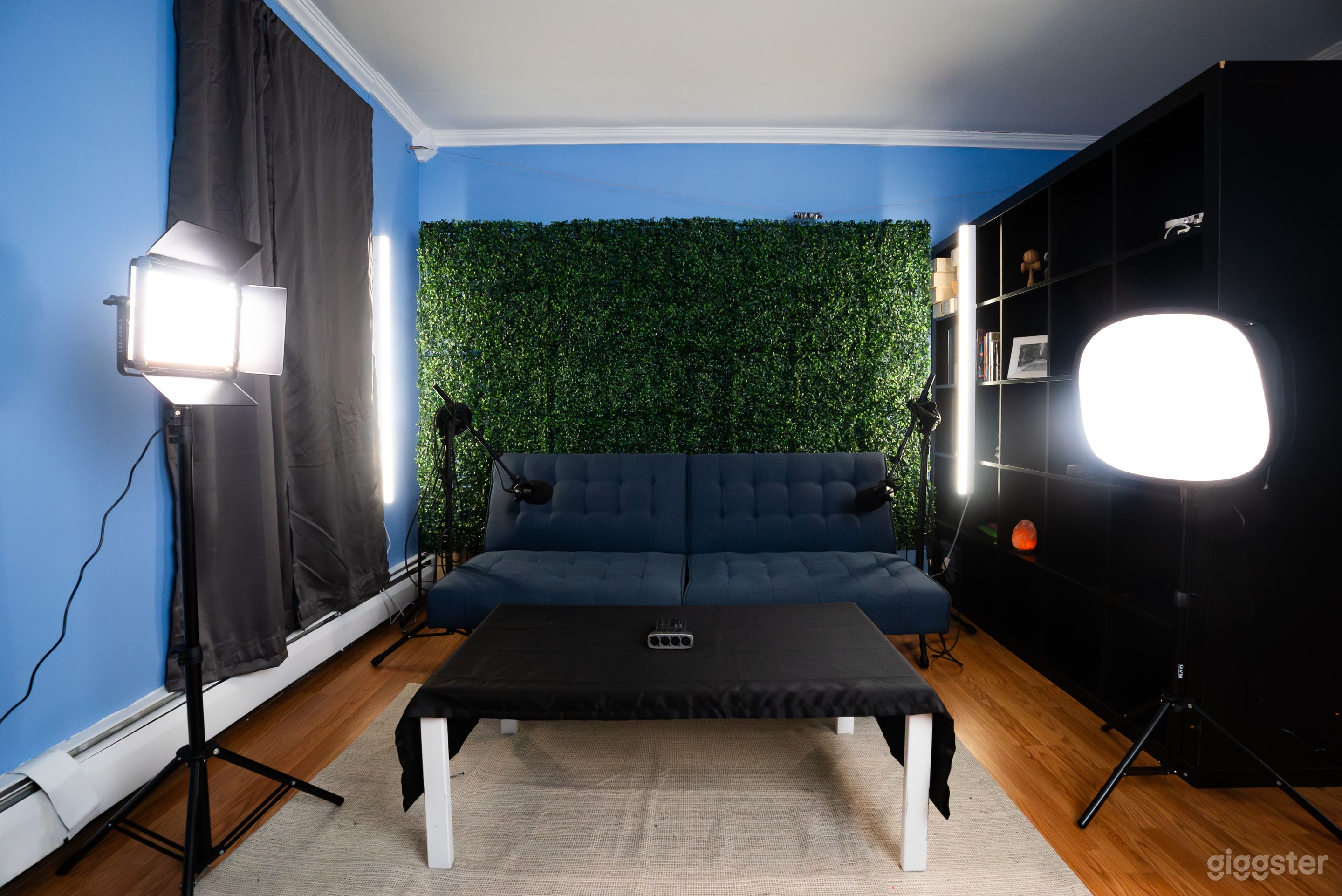 4x Lights, 2x Microphones, 1x Easy to use Audio Recorder