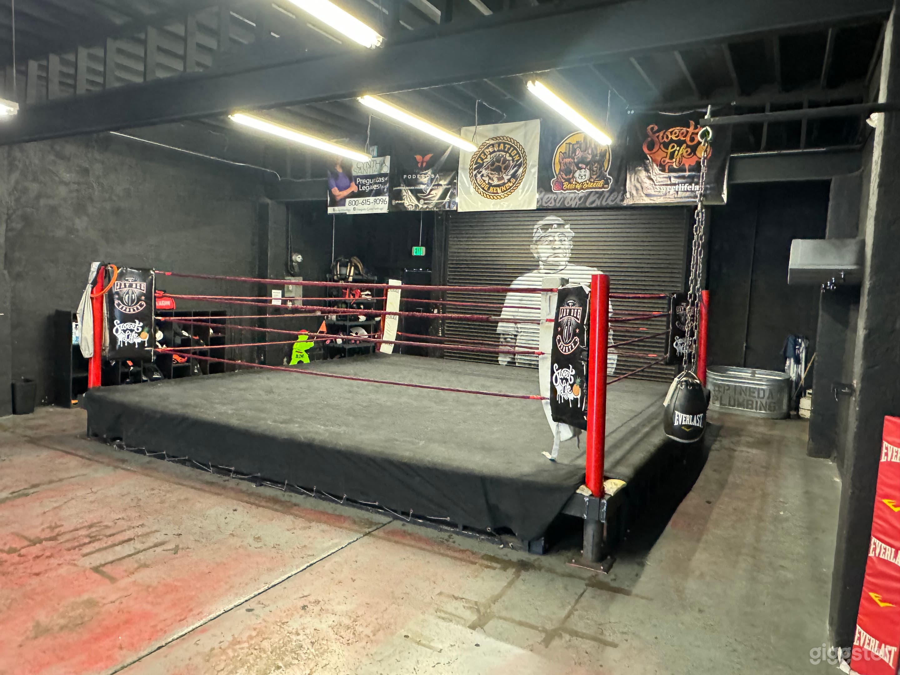 BOXING GYM  Photo 2
