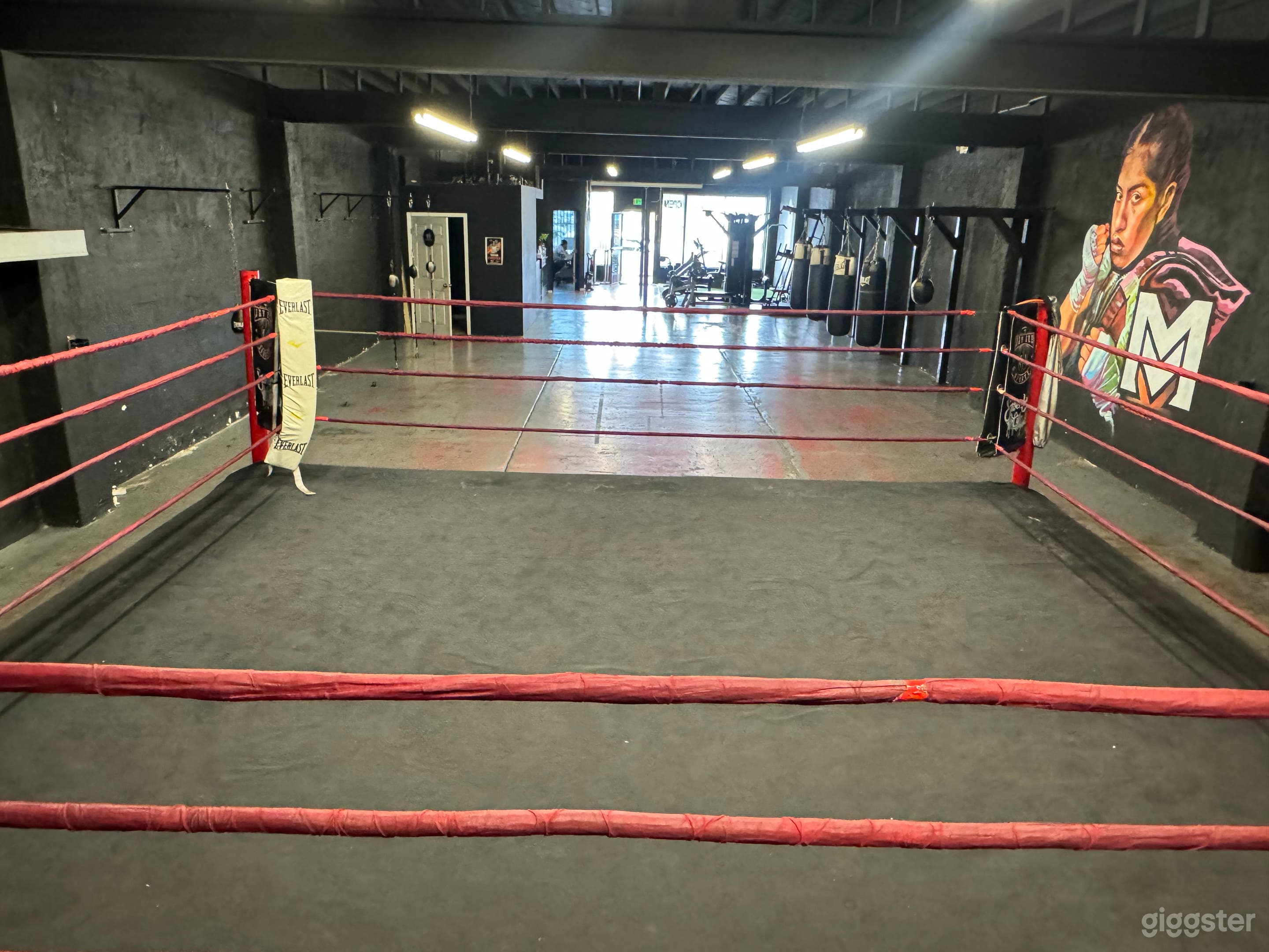 BOXING GYM  Photo 4