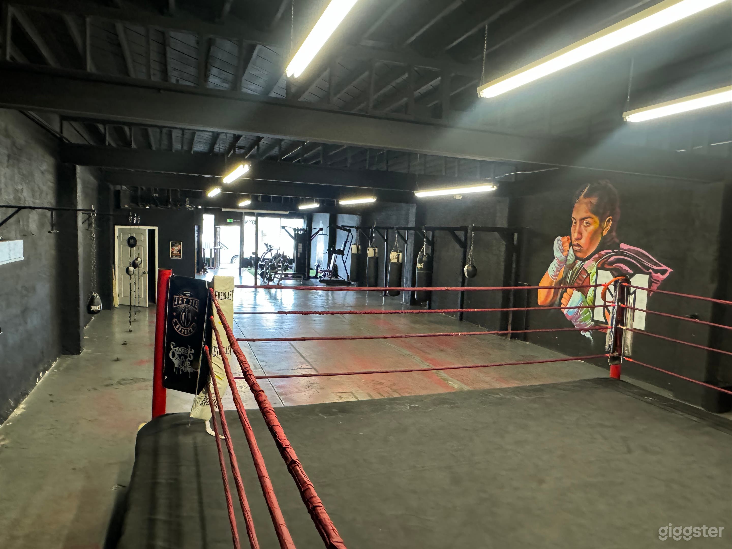 BOXING GYM  Photo 3