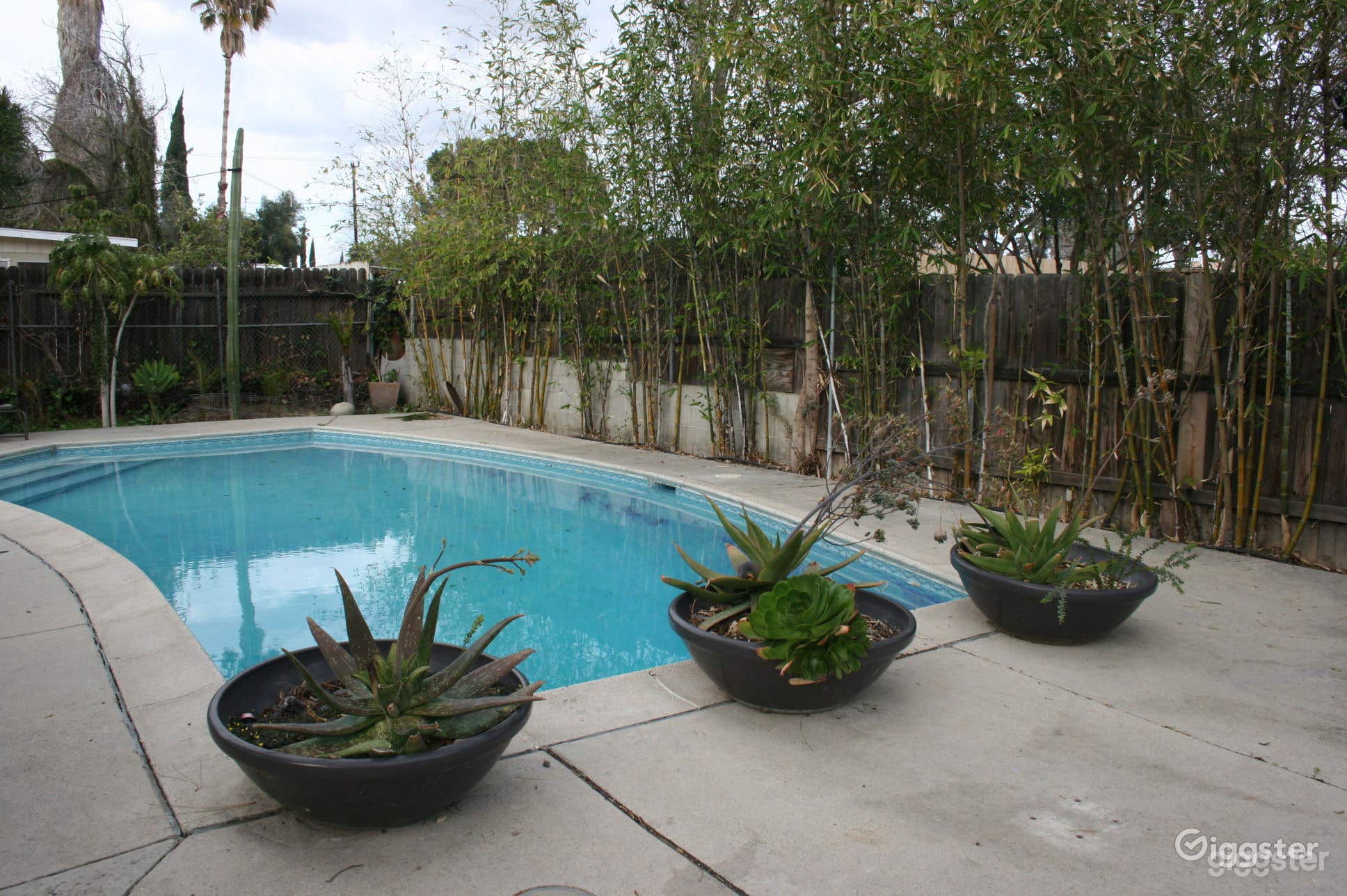 Mid-century pool in a stunning garden Photo 1