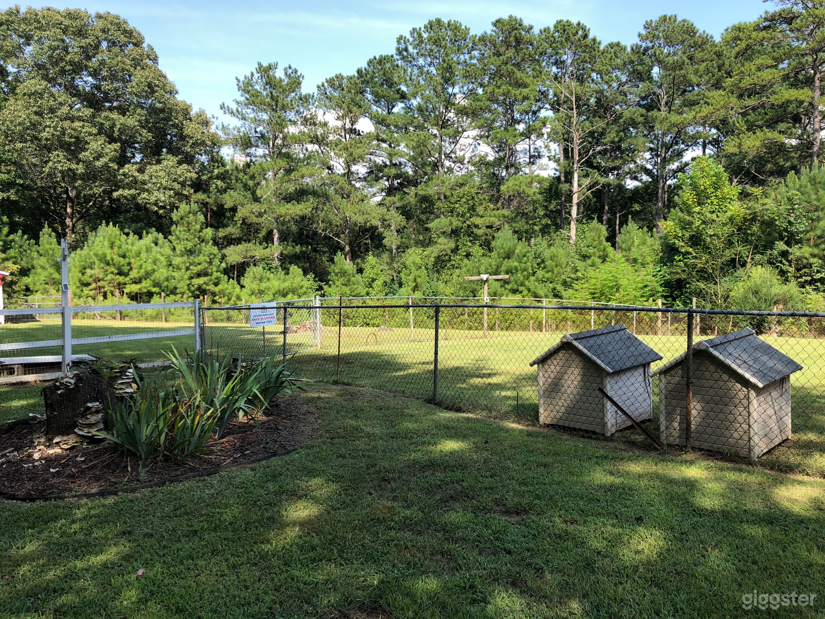 Yard to left of house
