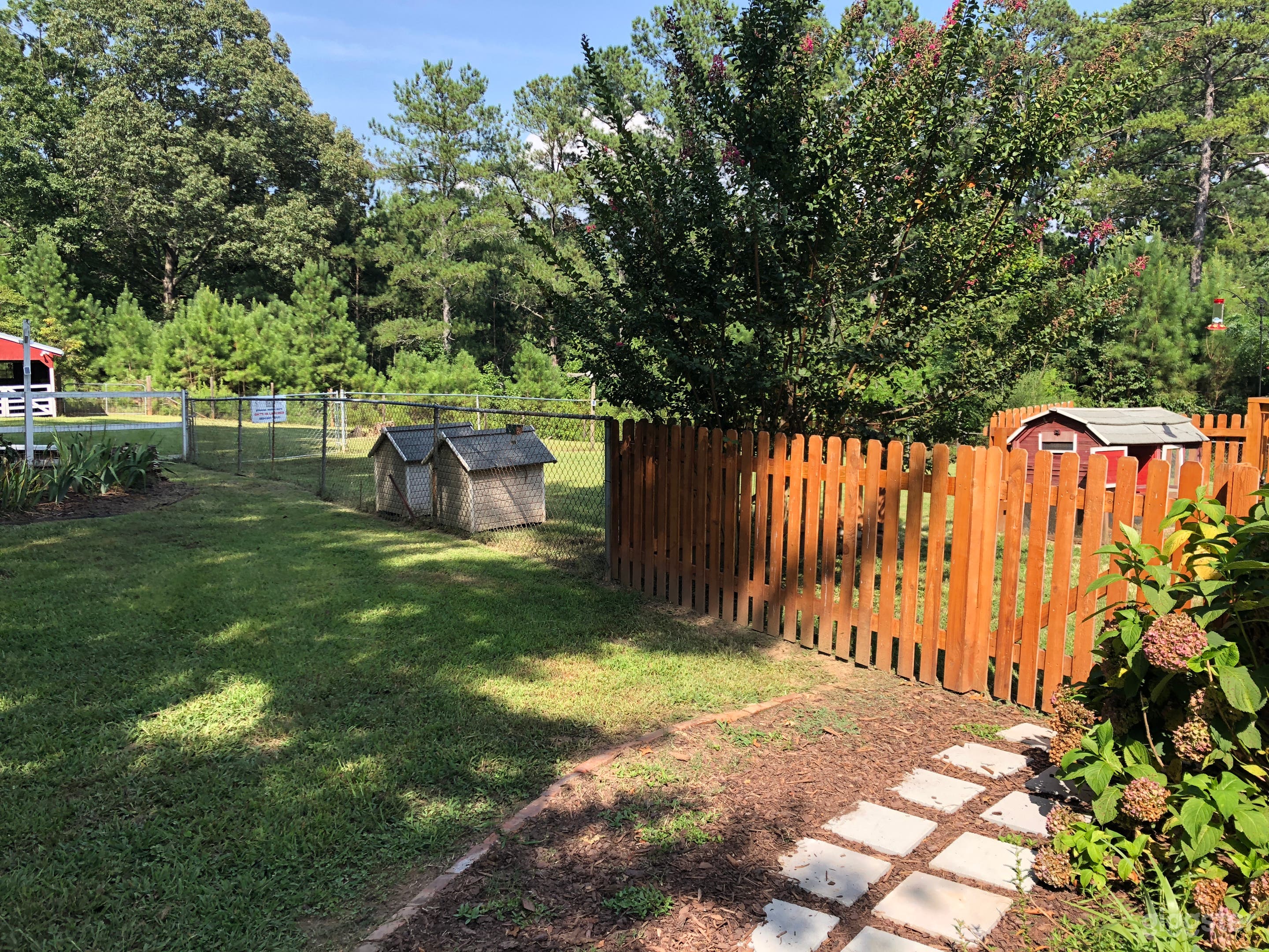 Yard to left of house