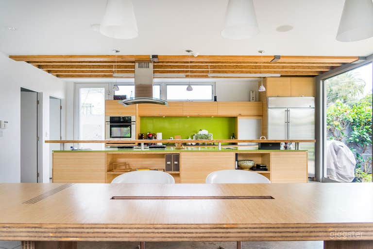  Spacious, Modern Venice Home 