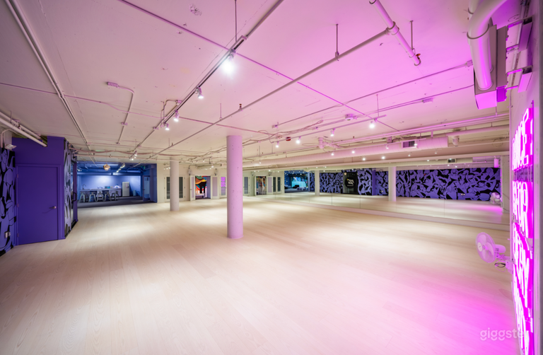  Studio Biggie has a 3,000 sq ft, clean wooden floor with mural, neon sign and one full wall of mirrors. 