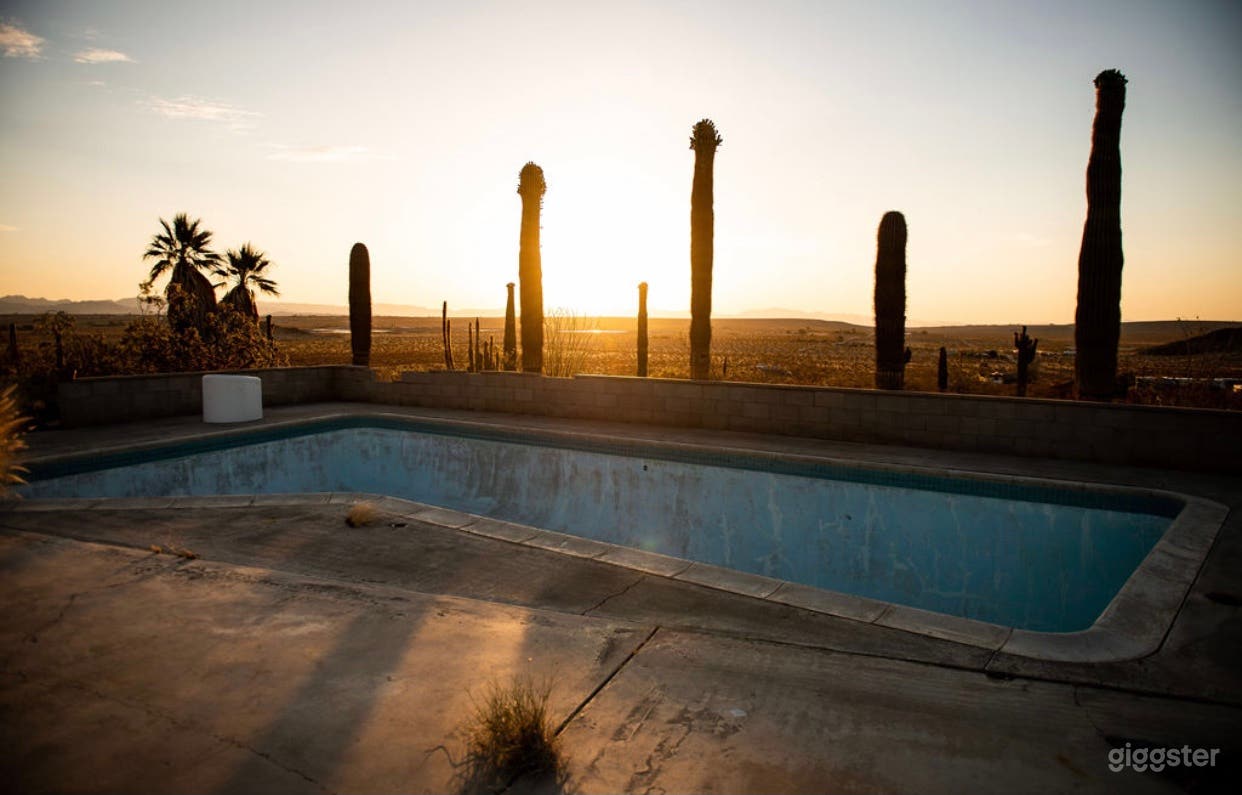 The Saguaro Cactus Farm near Joshua Tree Photo 2