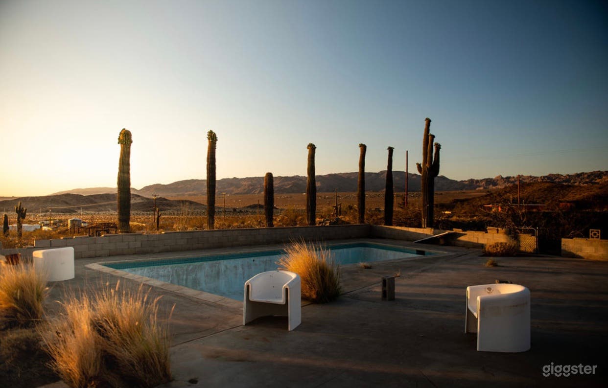 The Saguaro Cactus Farm near Joshua Tree Photo 1