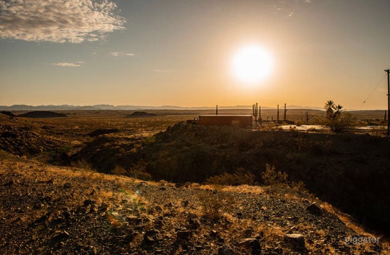  The Saguaro Cactus Farm near Joshua Tree 