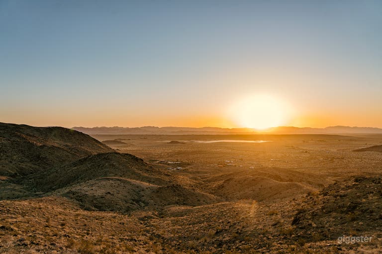  The Saguaro Cactus Farm near Joshua Tree 