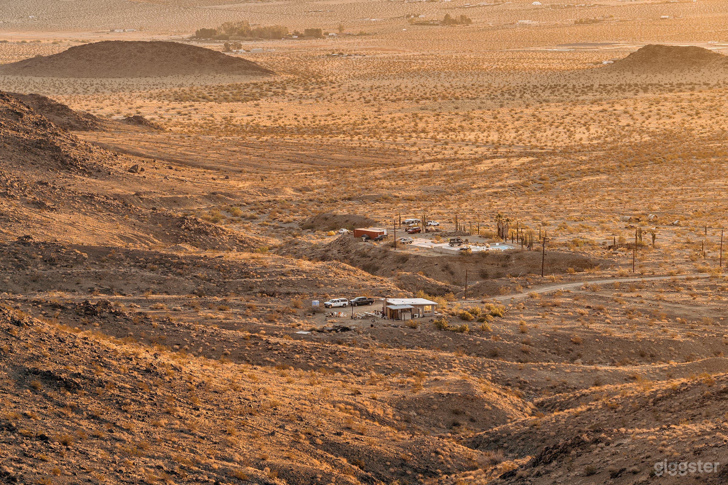 The Saguaro Cactus Farm near Joshua Tree Photo 4