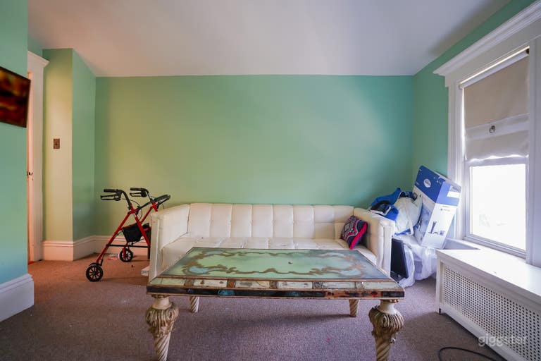  Vintage Wallpaper House w/ Natural Light, Antique  