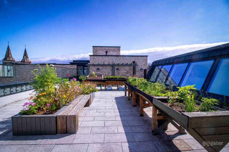  Rooftop Garden 
