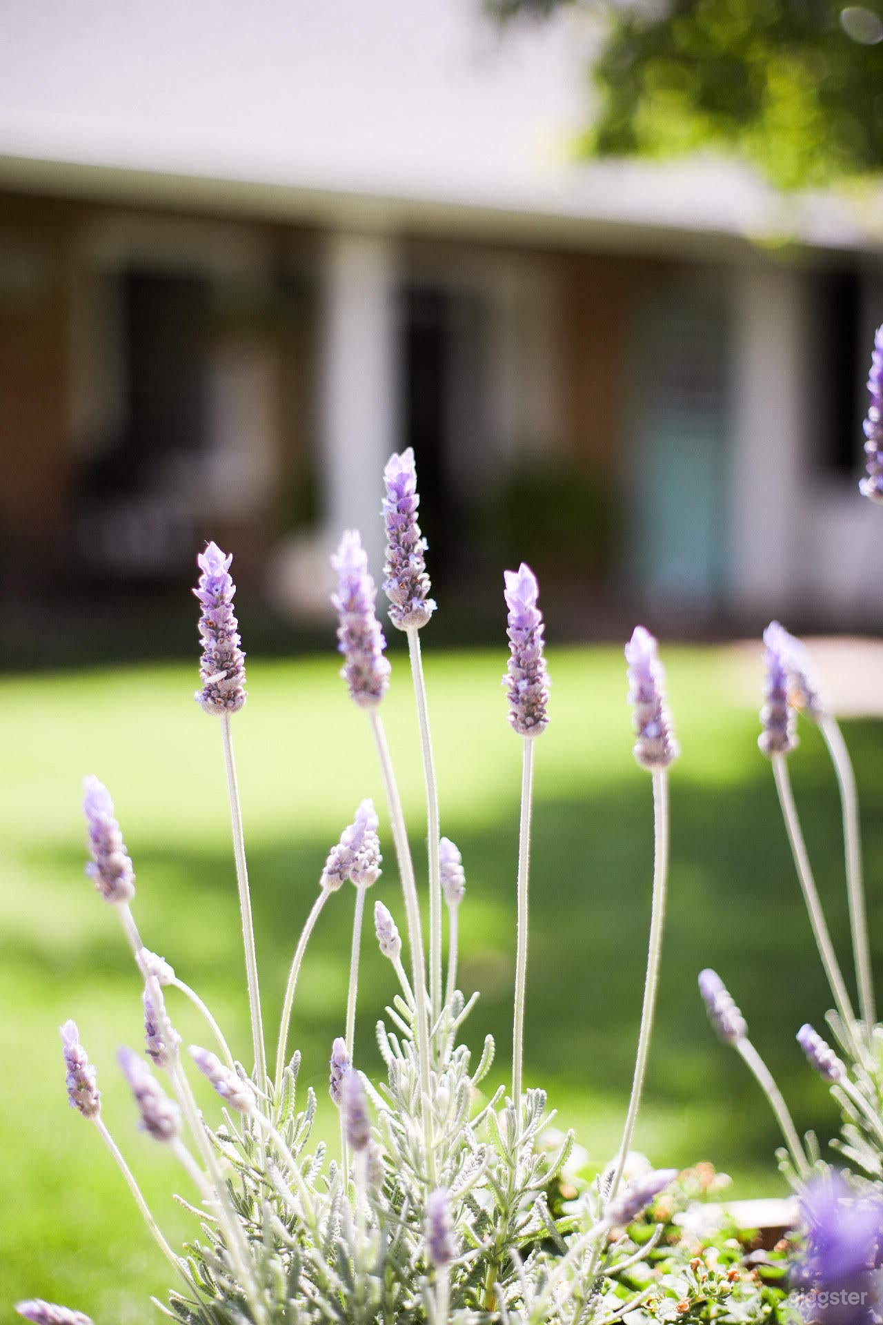 California One Story Farmhouse Photo 2