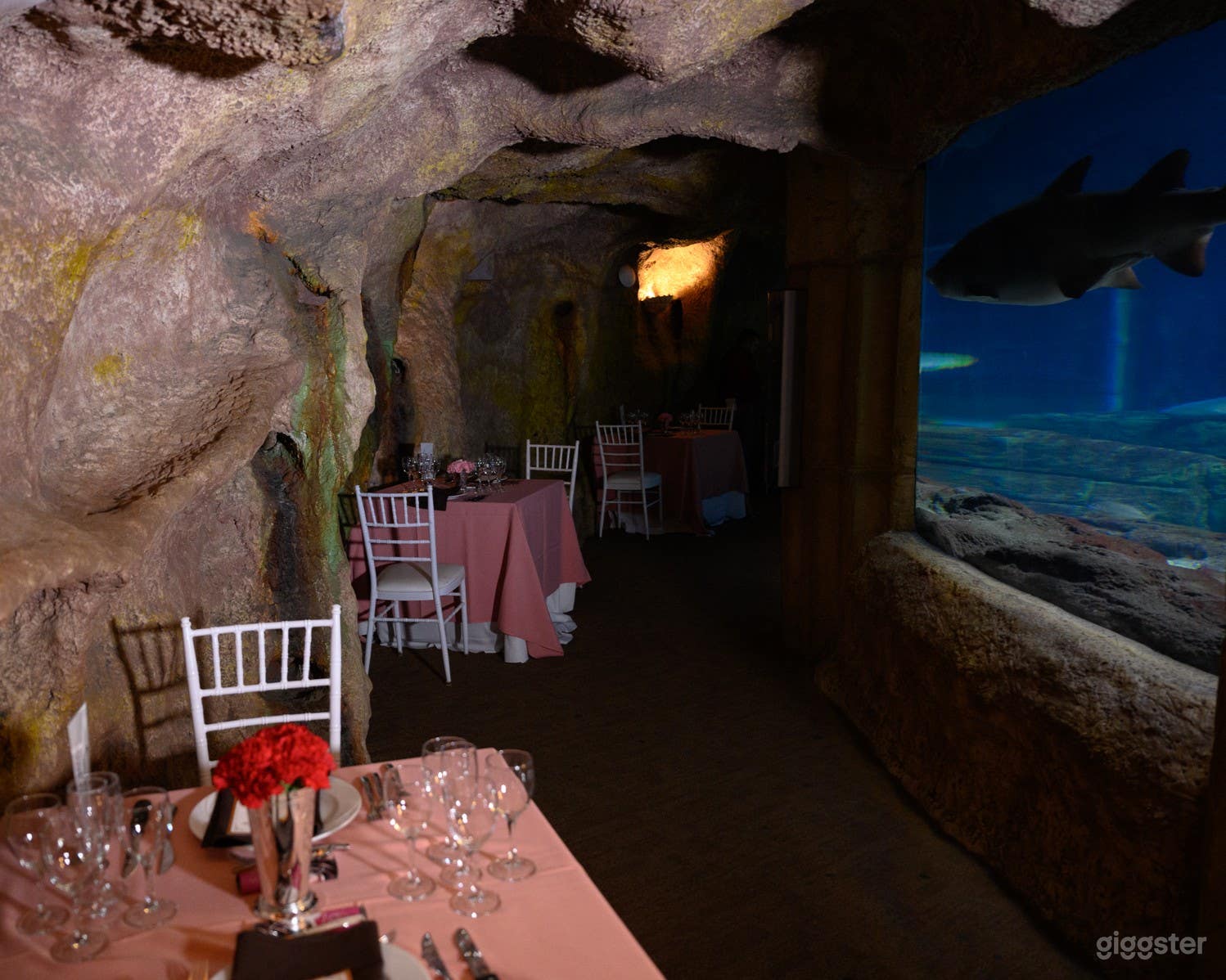 Shark Tunnel Room - Aquarium in Riverhead, NY  Photo 2