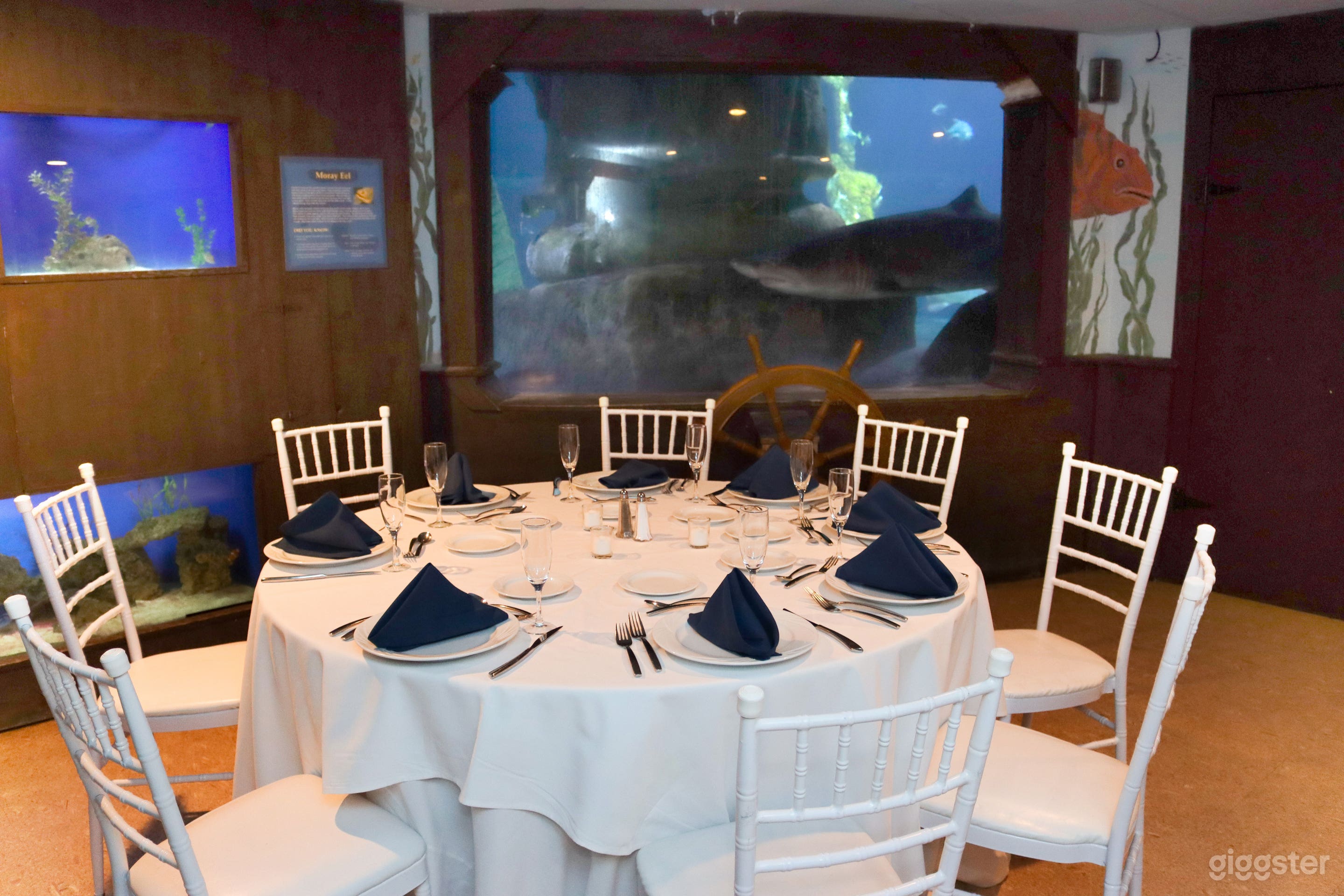 Shark Tunnel Room - Aquarium in Riverhead, NY  Photo 1