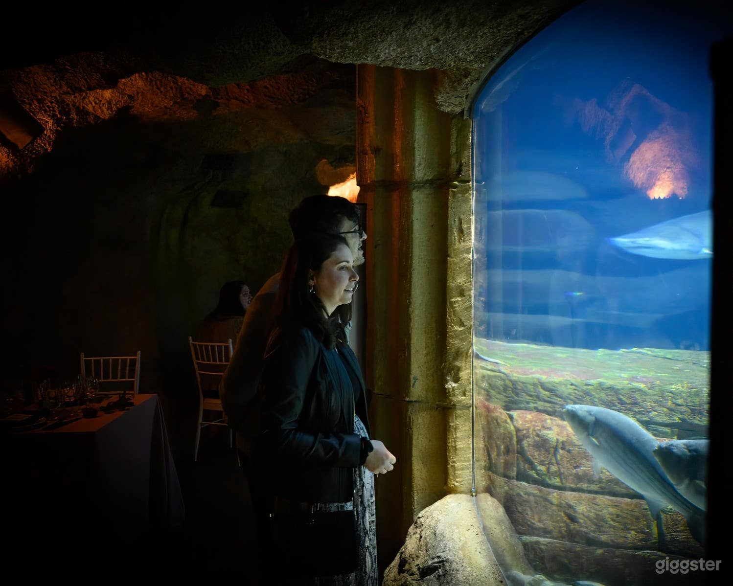 Shark Tunnel Room - Aquarium in Riverhead, NY  Photo 3