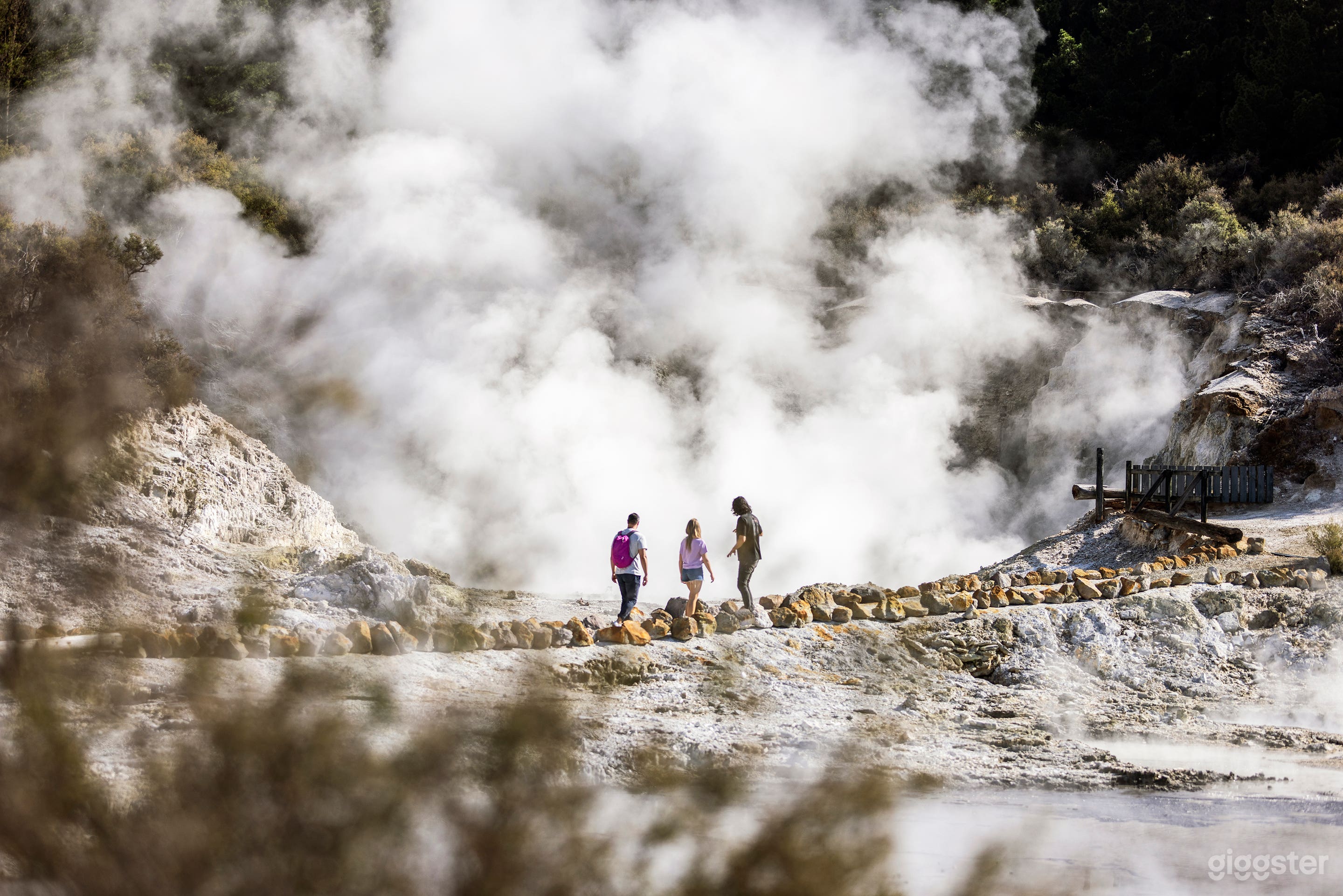 Geothermal Reserve in New Zealand Photo 1