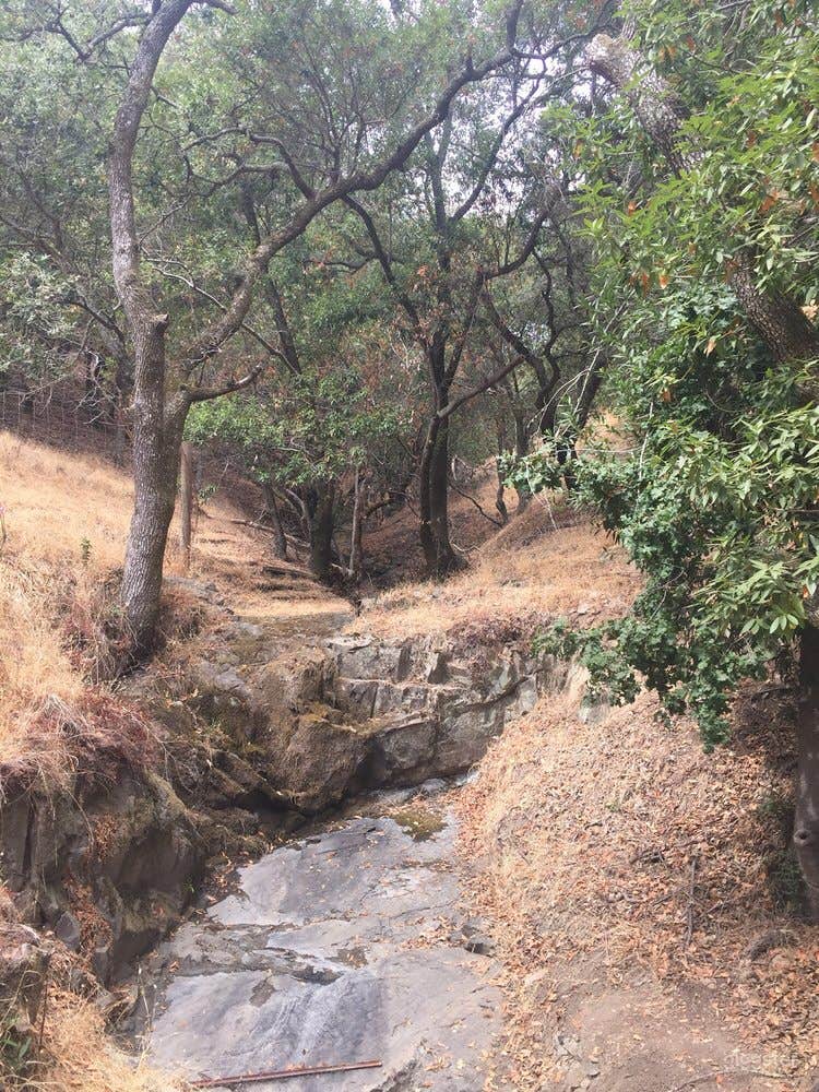 Spacious Outdoor Patio and Venue for Events Photo 2