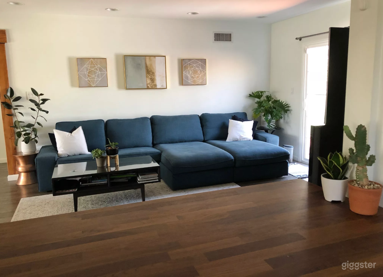 living room view from kitchen counter