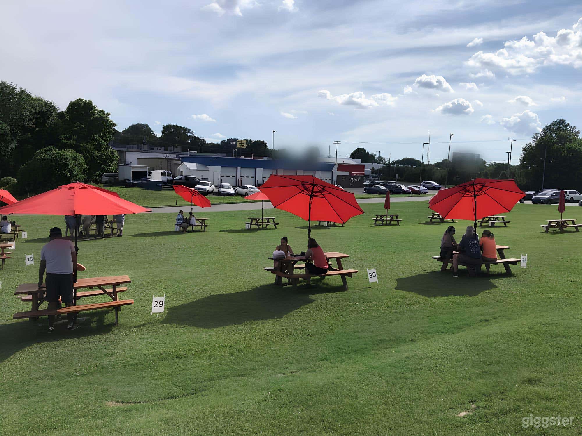 The Lawn - Outdoor Grassy Area Photo 4