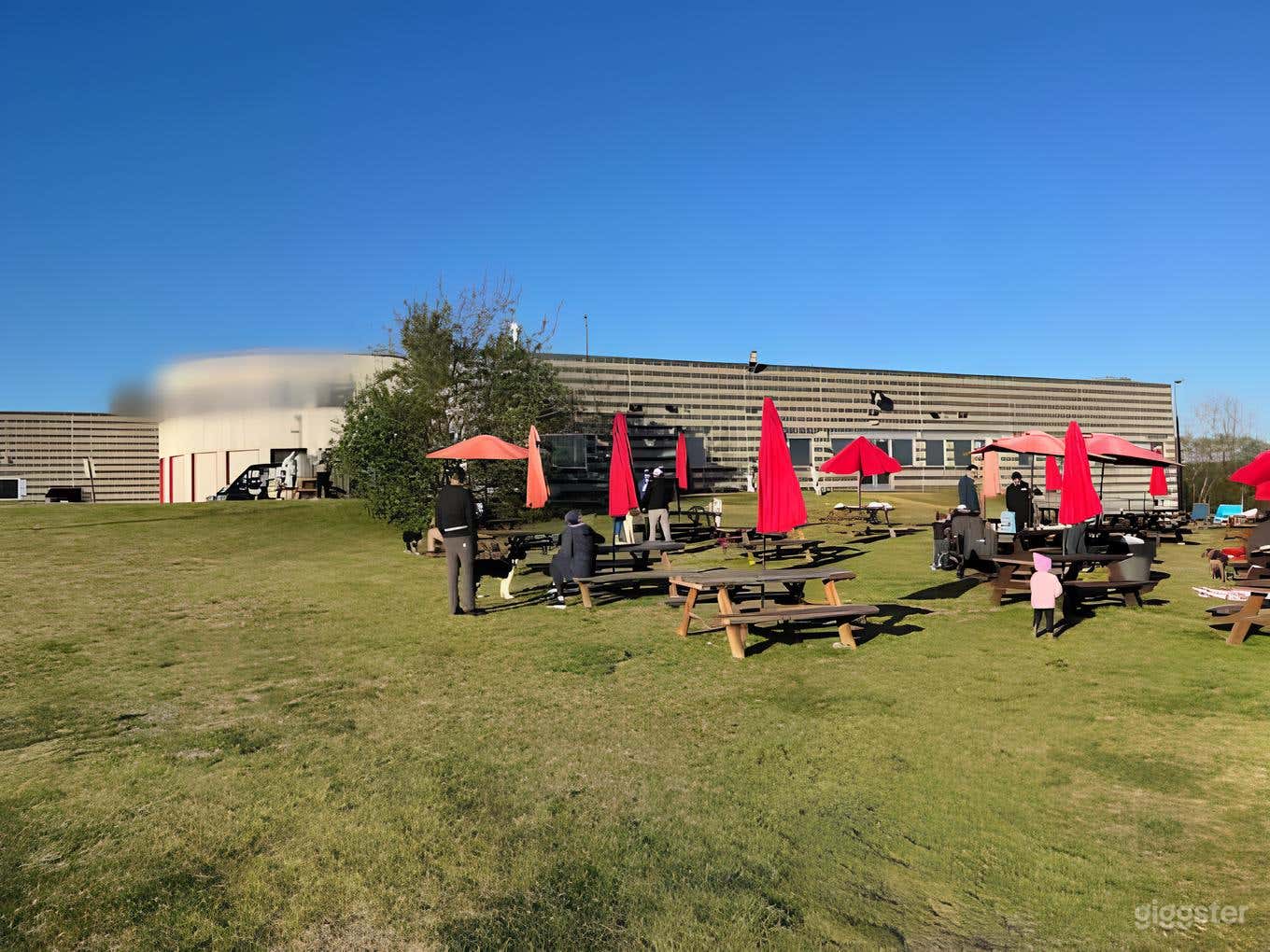 The Lawn - Outdoor Grassy Area Photo 2