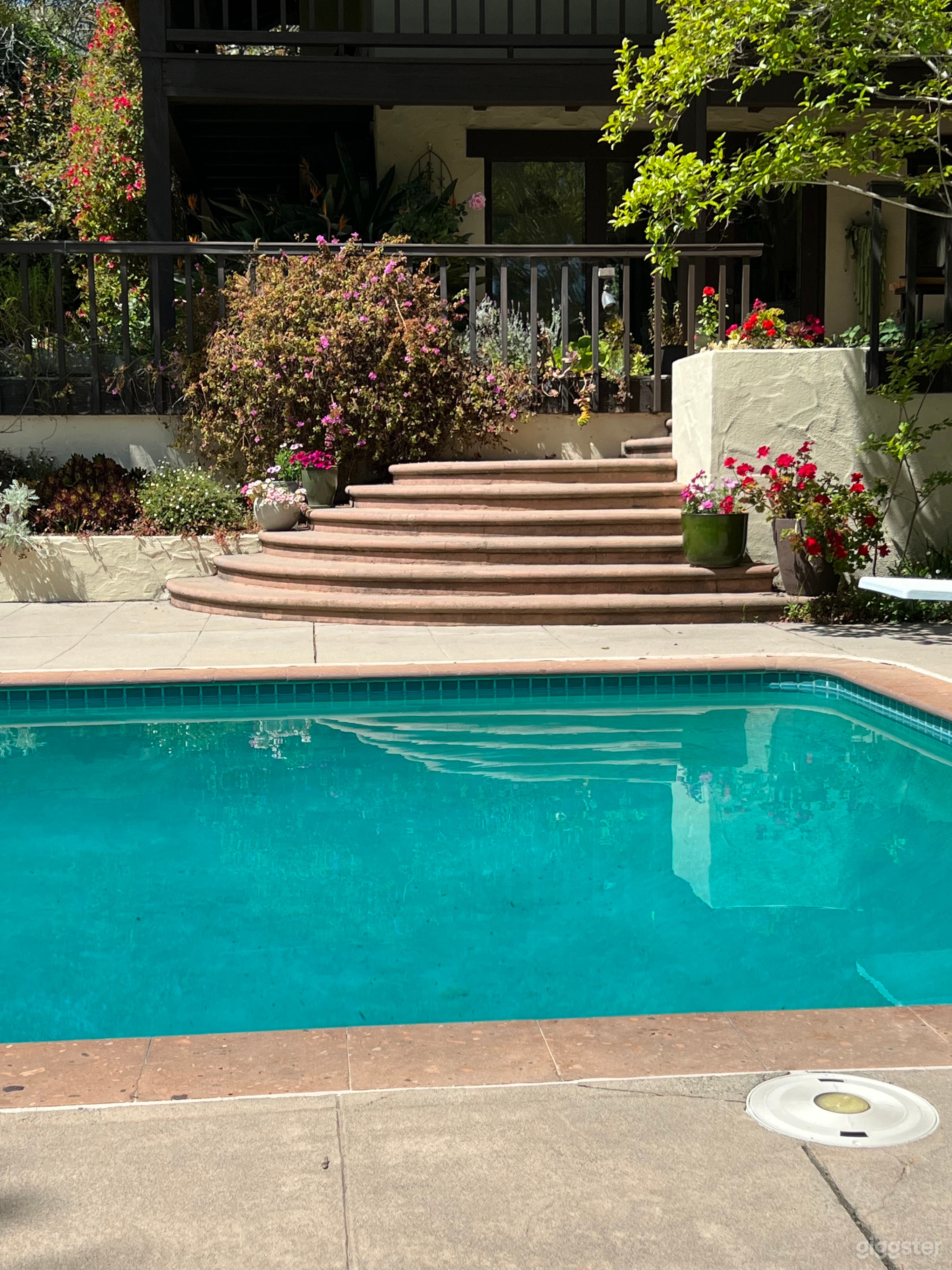 Beautiful garden and pool in Santa Cruz Photo 4