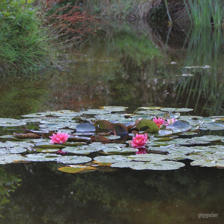  Spacious and Amazing Woodland, Pond & Wild Meadow  