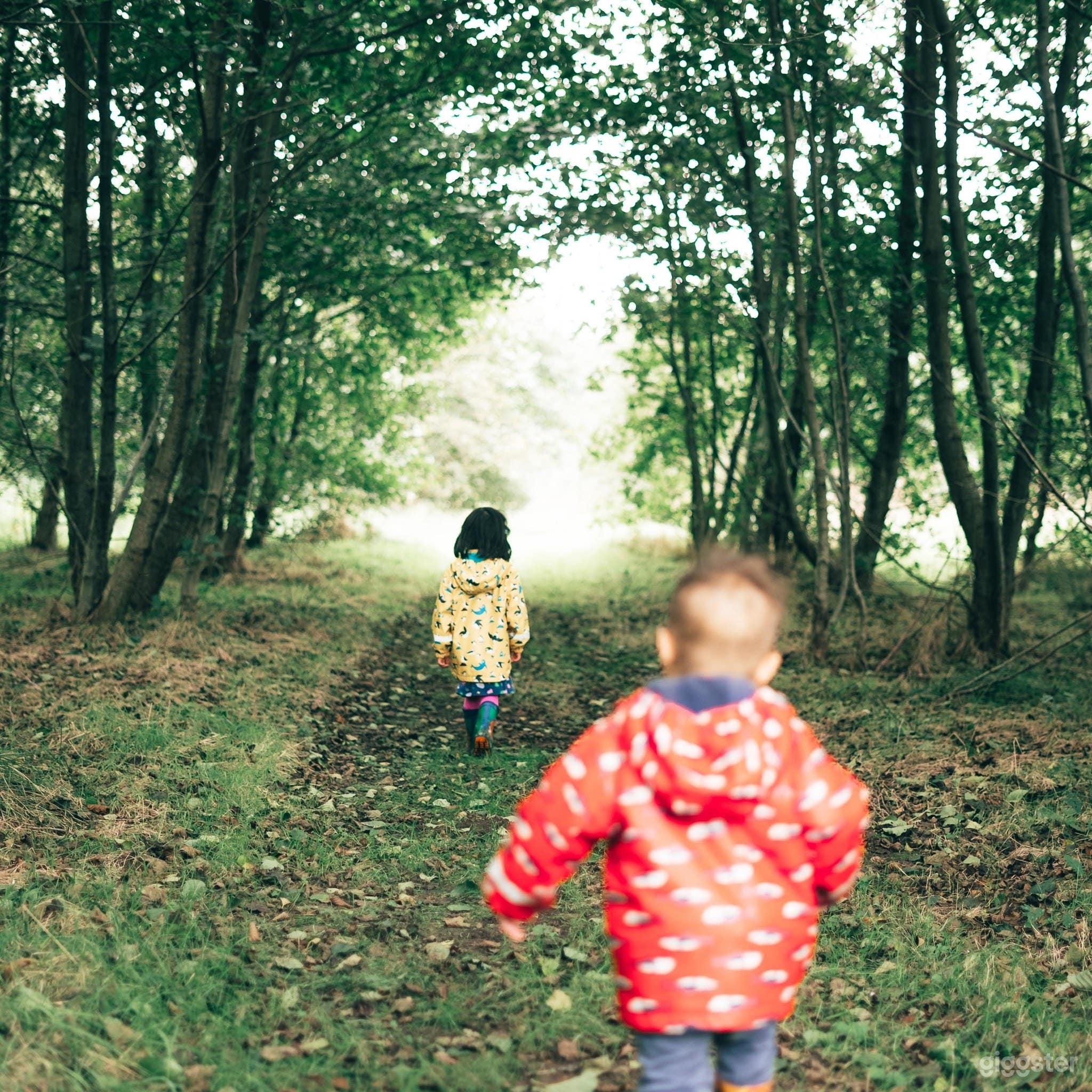 Spacious and Amazing Woodland, Pond &amp; Wild Meadow  Photo 4