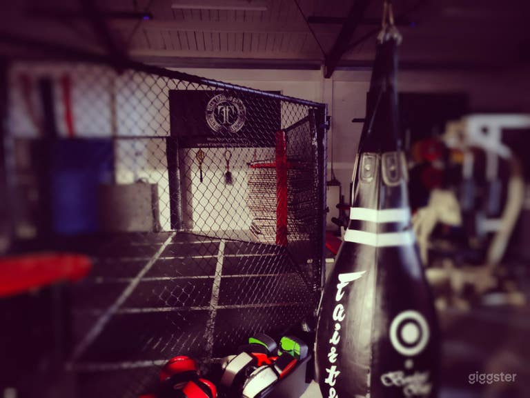  Full sized MMA cage with a cushioned padded floor. Weight training area and 65inch flat screen tv. 