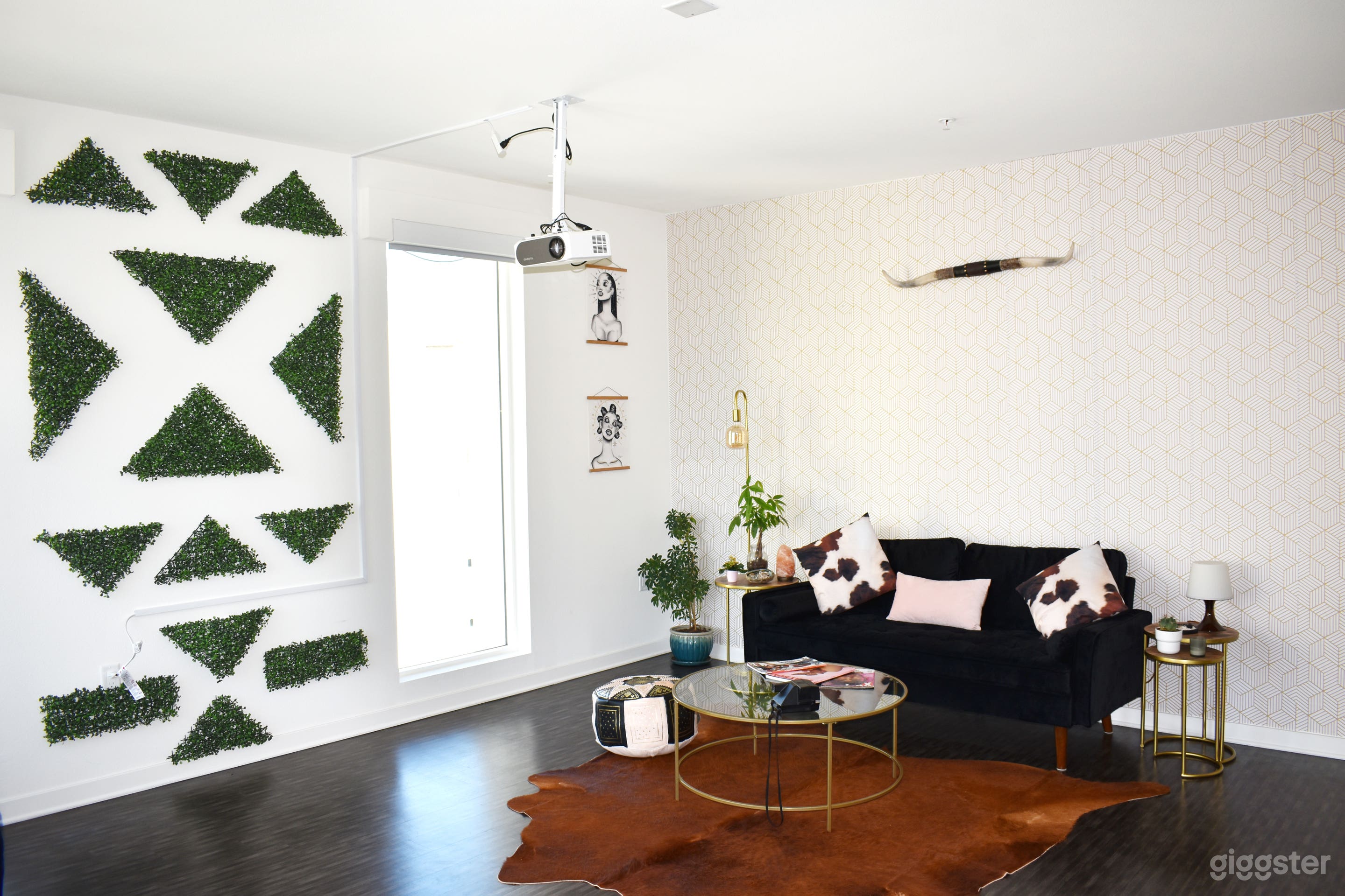 Sunny Downtown Photo Loft Apartment Photo 1